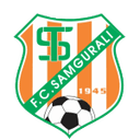 FC Dinamo Batumi