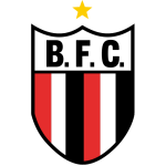 Botafogo Ribeirao Preto