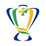 Brazil Cup